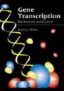 Gene Transcription