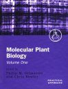 Molecular Plant Biology Volume 1
