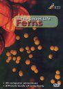Ferns: The Secret Life (All Regions, PAL)
