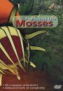 Mosses: The Secret Life (All Regions, PAL)