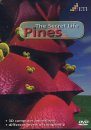 Pines: The Secret Life (All Regions, PAL)