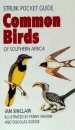 Struik Pocket Guide: Common Birds of Southern Africa