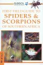 First Field Guide to Spiders & Scorpions of Southern Africa