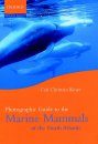 Photographic Guide to the Marine Mammals of the North Atlantic
