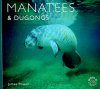 Manatees and Dugongs
