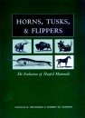 Horns, Tusks, & Flippers