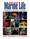 Guide to Marine Life