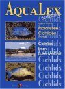 Aqualex-Catalog: Cichlids from Lake Malawi: Malawisee-Cichliden