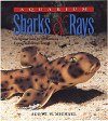 Aquarium Sharks and Rays