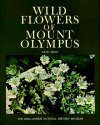 Wild Flowers of Mount Olympus