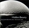 Hidden Beauty: Microworlds Revealed