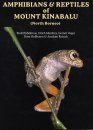 Amphibians and Reptiles of Mount Kinabalu