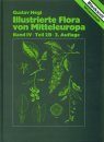 Illustrierte Flora von Mitteleuropa, Band 4, Teil 2B