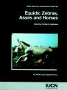 Equids: Zebras, Asses and Horses