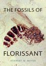 The Fossils of Florissant