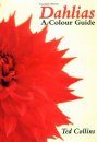 Dahlias - a Colour Guide