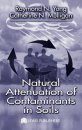 Natural Attenuation of Contaminants in Soils