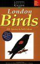Lorimer Pocketguide to London Birds