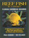 Reef Fish In-A-Pocket Waterproof Mini-Books: Florida, Caribbean, Bahamas