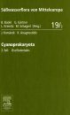 Süßwasserflora von Mitteleuropa, Bd 19/2: Cyanoprokaryota, Part 2: Oscillatoriales [English]