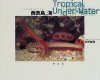 Iriomotejima Tropical Under-Water [Japanese]