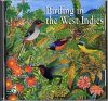 Birding in the West Indies