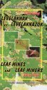 Leaf Mines and Leaf Miners / Levélaknák és LLevelaknázók