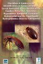 Checklists and Guides to the Identification, to Genus, of Adult and Larval Australian Water Beetles of the Families Dytiscidae, Noteridae, Hygrobiidae, Haliplidae, Gyrinidae, Hydraenidae and the Superfamily Hydrophiloidea (insecta: Coleoptera)