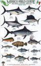 Mexico Field Guides: Baja California - Sea of Cortez - Pacific Coast: Sport Fish [English / Spanish]