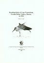 Breeding Birds of Cape Wastochnia, Pyasina Delta, Taimyr, Russia in 1994