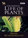 The Private Life of Plants (Region 2 & 4)