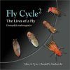Fly Cycle2
