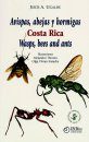 Wasps, Bees and Ants - Costa Rica