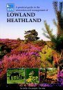 A Practical Guide to the Restoration and Management of Lowland Heathland