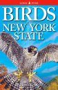 Birds of New York State