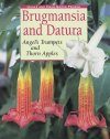 Brugmansia and Datura