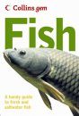 Collins Gem Guide: Fish