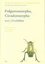 Fulgoromorpha, Cicadomorpha excl. Cicadellidae