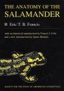 The Anatomy of the Salamander