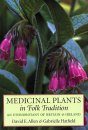 Medicinal Plants in Folk Tradition
