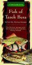 A Field Guide to the Fish of Tasek Bera