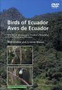 Birds of Ecuador / Aves de Ecuador: DVD-ROM