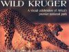 Wild Kruger