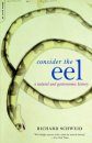 Consider the Eel