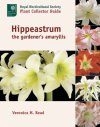 Hippeastrum: The Gardener's Amaryllis
