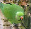 Bird Song of Mauritius