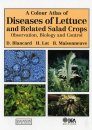 A Colour Atlas of Diseases of Lettuce and Related Salad Crops