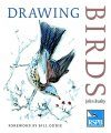 Drawing Birds