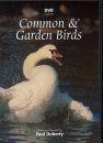 DVD Guide to Common and Garden Birds (All Regions)
