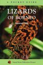 A Pocket Guide: Lizards of Borneo